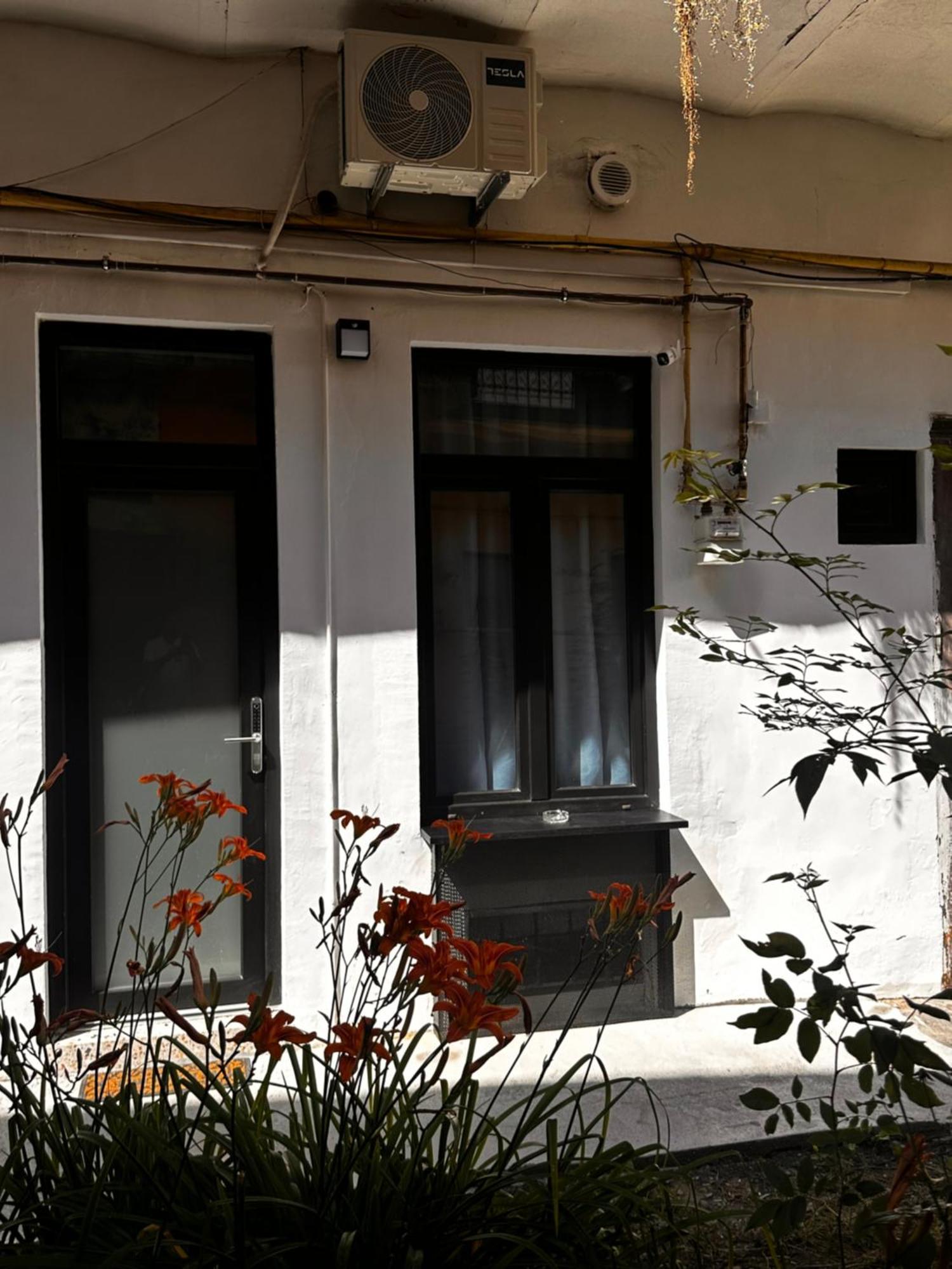 Jais Home-Moon Apartment Old Town Cluj-Napoca Exteriör bild